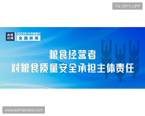AG国际平台安全保障措施解析，确保每位玩家都能安心畅玩无忧体验各种精彩赛事