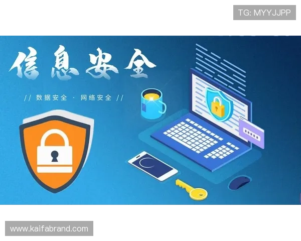 凯发官网下载官网介绍官方客户端下载的安全保障措施与防止病毒感染的方法