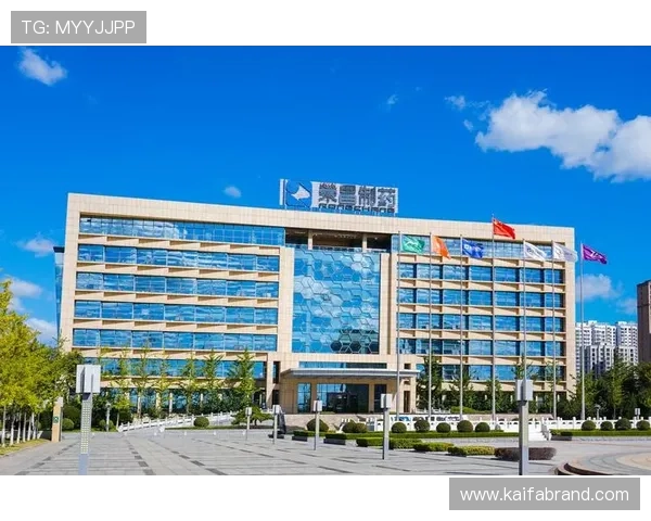 凯发集团平台苹果版下载用户指南，提供详细操作步骤与注意事项确保顺利体验